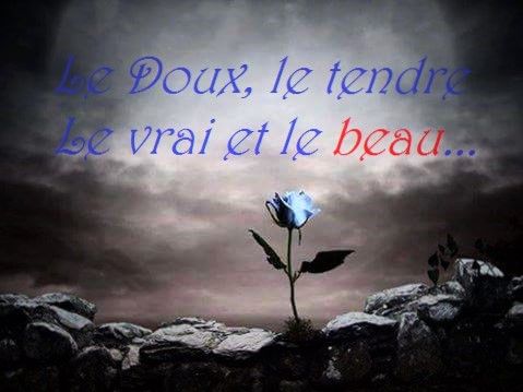 Le doux Amour, le tendre amour, le vrai et le beau